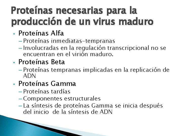 Proteínas necesarias para la producción de un virus maduro • Proteínas Alfa – Proteínas