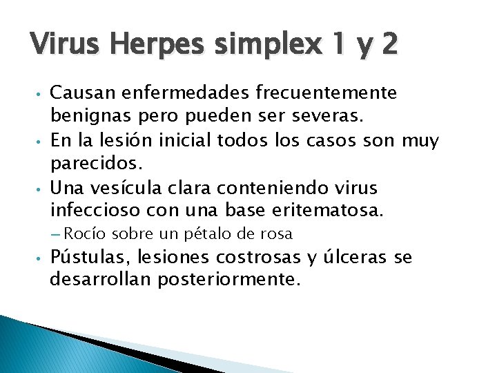 Virus Herpes simplex 1 y 2 • • • Causan enfermedades frecuentemente benignas pero