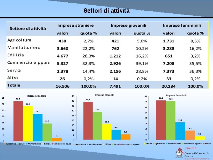 Settori di attività 