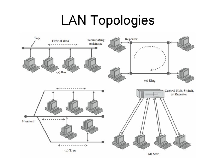 LAN Topologies 