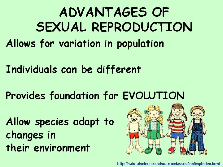 ADVANTAGES OF SEXUAL REPRODUCTION Allows for variation in population Individuals can be different Provides