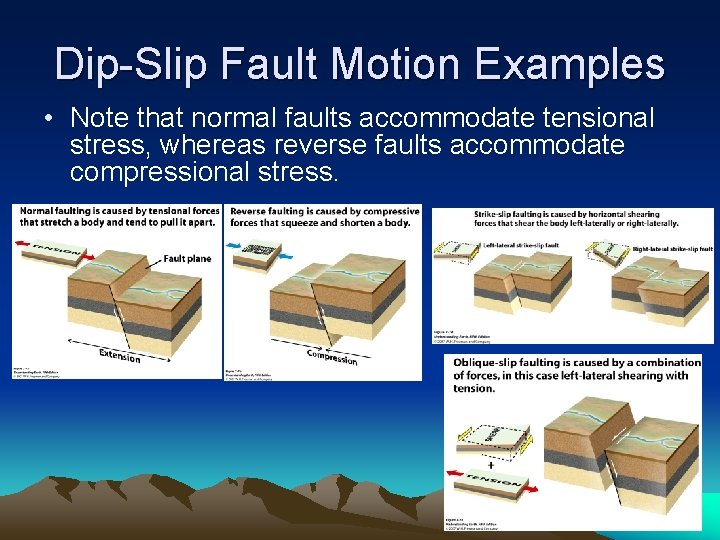 Dip-Slip Fault Motion Examples • Note that normal faults accommodate tensional stress, whereas reverse