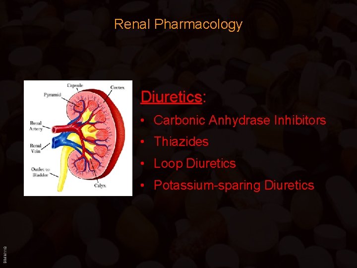 Renal Pharmacology Diuretics: • Carbonic Anhydrase Inhibitors • Thiazides • Loop Diuretics BIMM 118
