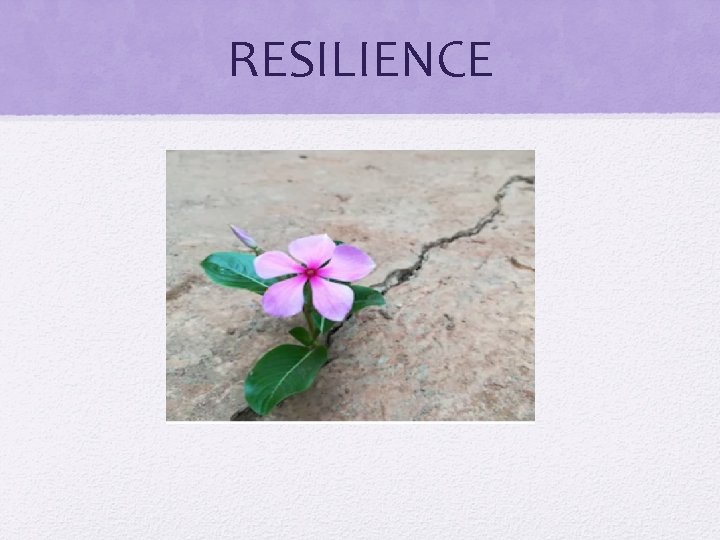 RESILIENCE 