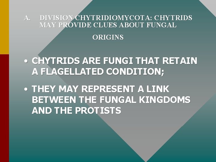 A. DIVISION CHYTRIDIOMYCOTA: CHYTRIDS MAY PROVIDE CLUES ABOUT FUNGAL ORIGINS • CHYTRIDS ARE FUNGI