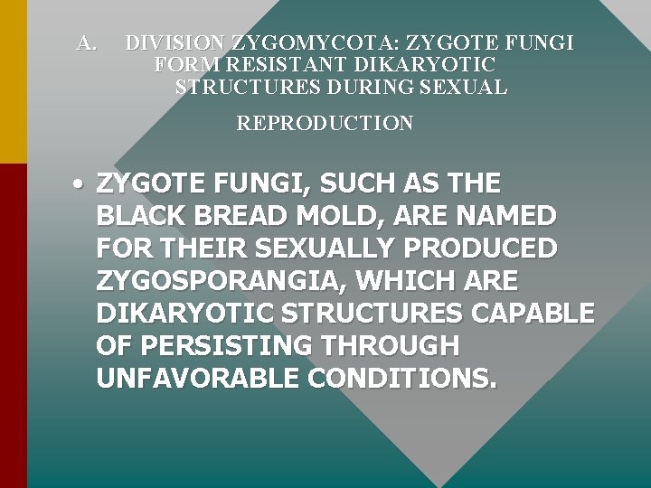 A. DIVISION ZYGOMYCOTA: ZYGOTE FUNGI FORM RESISTANT DIKARYOTIC STRUCTURES DURING SEXUAL REPRODUCTION • ZYGOTE
