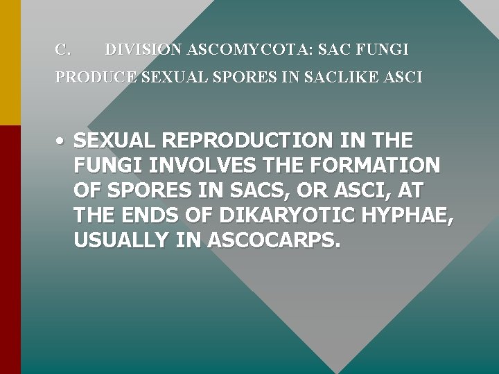 C. DIVISION ASCOMYCOTA: SAC FUNGI PRODUCE SEXUAL SPORES IN SACLIKE ASCI • SEXUAL REPRODUCTION