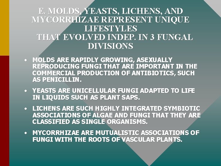 E. MOLDS, YEASTS, LICHENS, AND MYCORRHIZAE REPRESENT UNIQUE LIFESTYLES THAT EVOLVED INDEP. IN 3