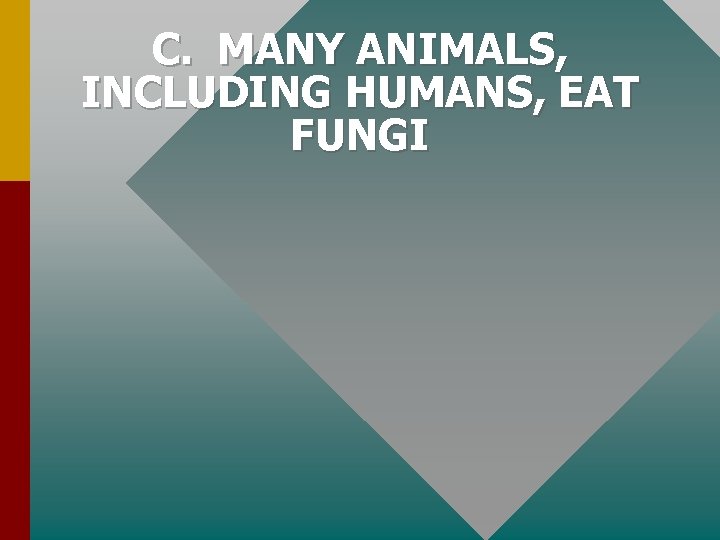 C. MANY ANIMALS, INCLUDING HUMANS, EAT FUNGI 