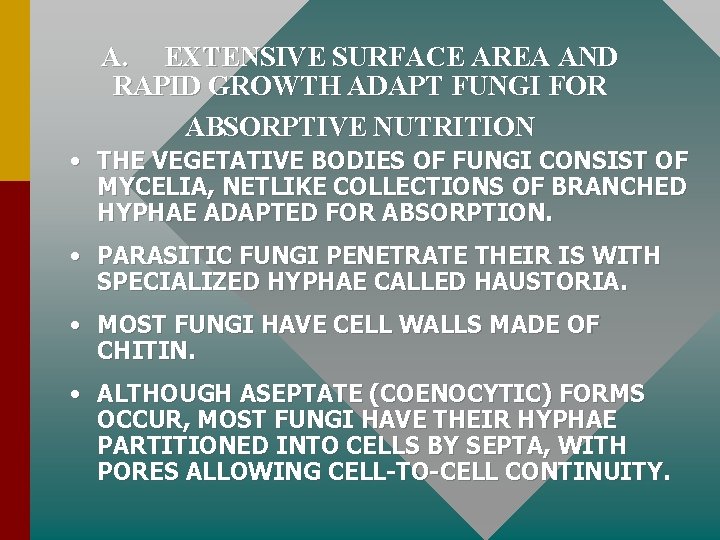 A. EXTENSIVE SURFACE AREA AND RAPID GROWTH ADAPT FUNGI FOR ABSORPTIVE NUTRITION • THE