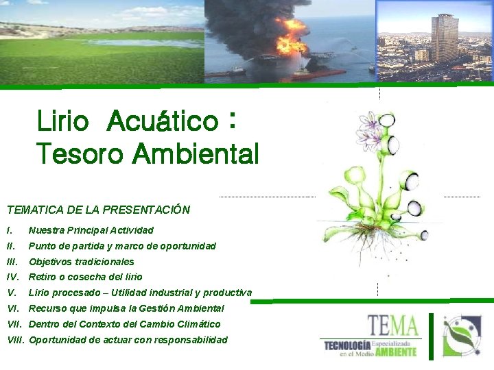 Lirio Acuático : Tesoro Ambiental TEMATICA DE LA PRESENTACIÓN I. Nuestra Principal Actividad II.