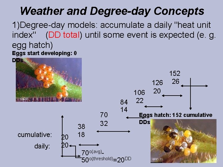 Weather and Degree-day Concepts 1)Degree-day models: accumulate a daily "heat unit index" (DD total)