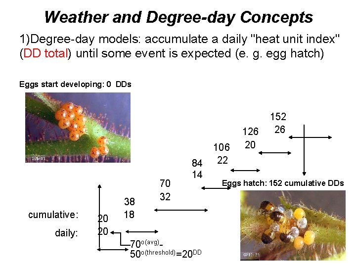 Weather and Degree-day Concepts 1)Degree-day models: accumulate a daily "heat unit index" (DD total)