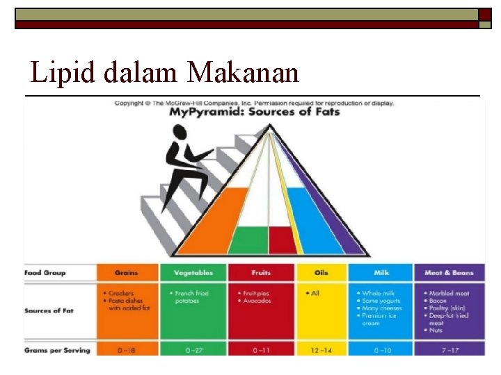 Lipid dalam Makanan 