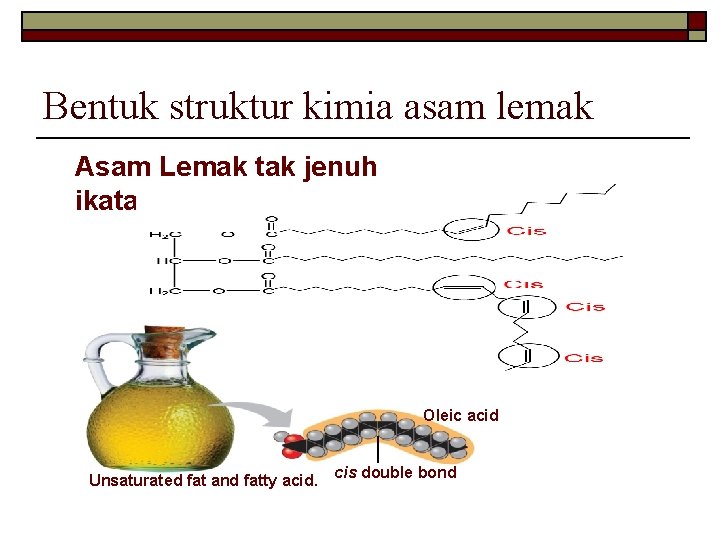 Bentuk struktur kimia asam lemak Asam Lemak tak jenuh ikatan cis Oleic acid Unsaturated
