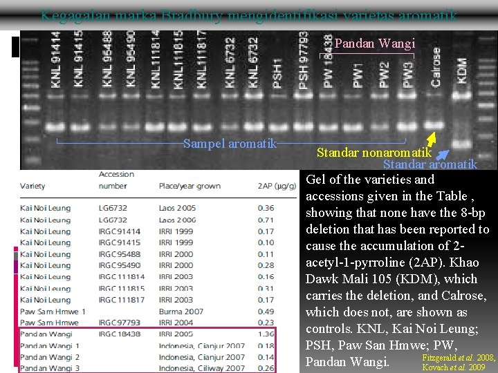 Kegagalan marka Bradbury mengidentifikasi varietas aromatik Pandan Wangi Sampel aromatik Standar nonaromatik Standar aromatik