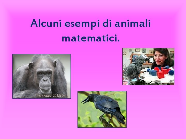 Alcuni esempi di animali matematici. 