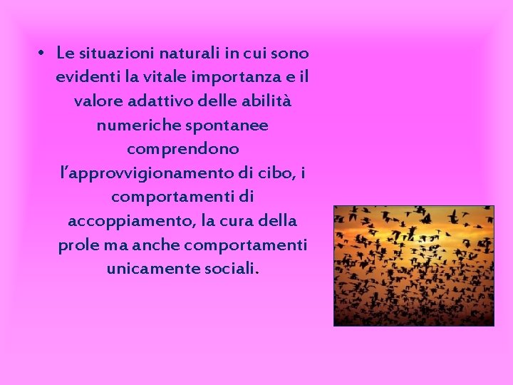  • Le situazioni naturali in cui sono evidenti la vitale importanza e il