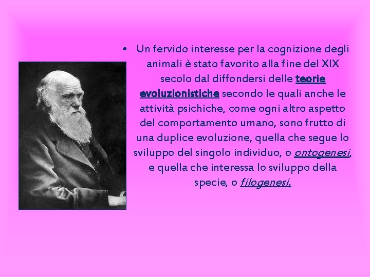  • Un fervido interesse per la cognizione degli animali è stato favorito alla