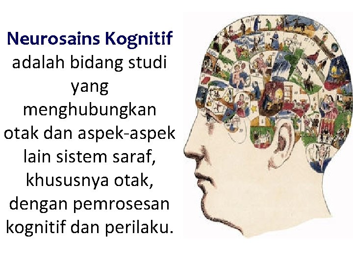 Neurosains Kognitif adalah bidang studi yang menghubungkan otak dan aspek-aspek lain sistem saraf, khususnya