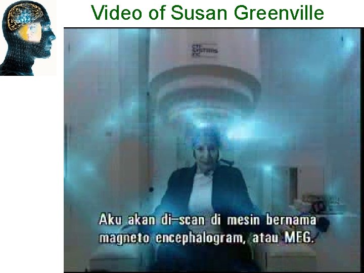 Video of Susan Greenville 