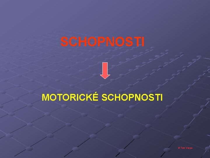 SCHOPNOSTI MOTORICKÉ SCHOPNOSTI © Tom Vespa 