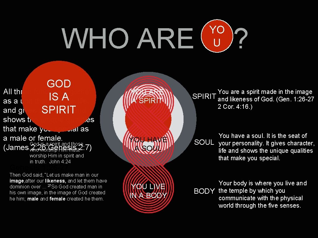 WHO ARE GOD All three function together A life, as a unit that IS