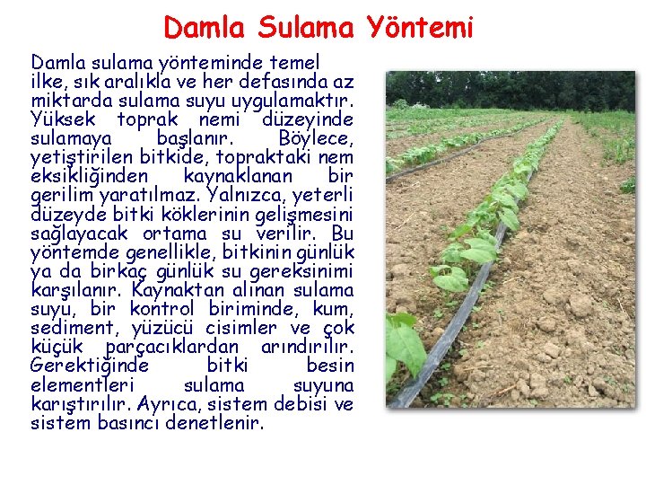 Damla Sulama Yöntemi Damla sulama yönteminde temel ilke, sık aralıkla ve her defasında az