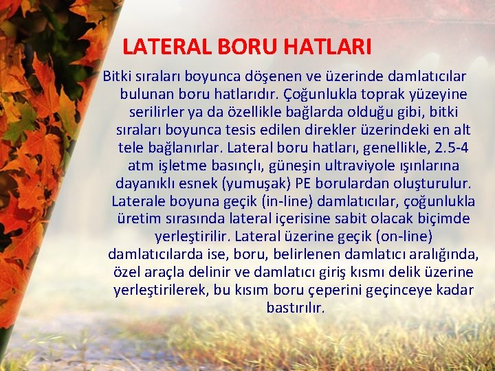 LATERAL BORU HATLARI Bitki sıraları boyunca döşenen ve üzerinde damlatıcılar bulunan boru hatlarıdır. Çoğunlukla