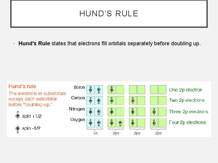 HUND’S RULE • Hund's Rule states that electrons fill orbitals separately before doubling up.