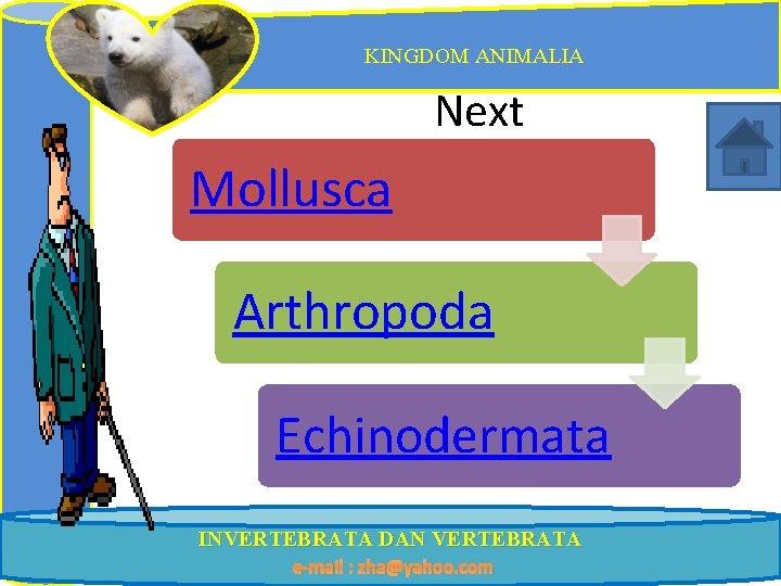 KINGDOM ANIMALIA Next Mollusca Arthropoda Echinodermata INVERTEBRATA DAN VERTEBRATA e-mail : zha@yahoo. com 