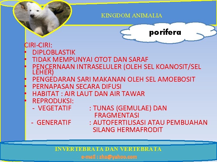 KINGDOM ANIMALIA porifera CIRI-CIRI: • DIPLOBLASTIK • TIDAK MEMPUNYAI OTOT DAN SARAF • PENCERNAAN