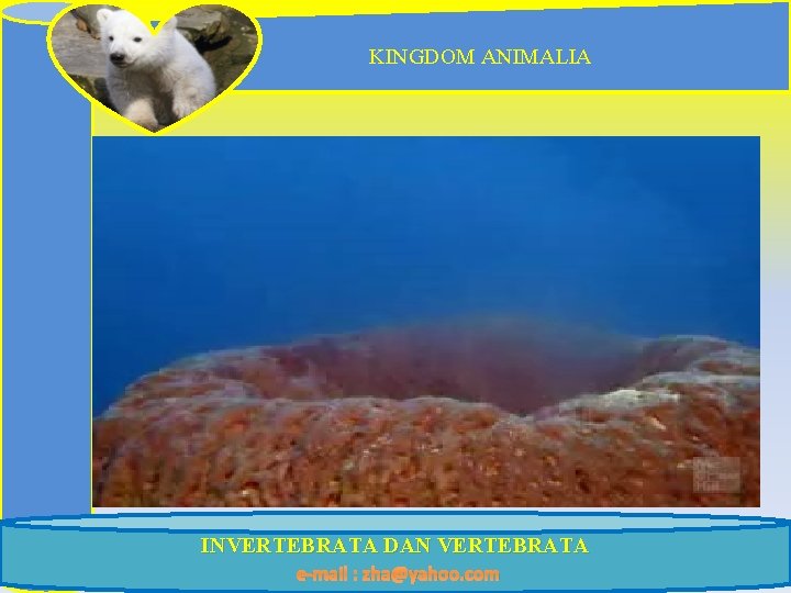 KINGDOM ANIMALIA INVERTEBRATA DAN VERTEBRATA e-mail : zha@yahoo. com 