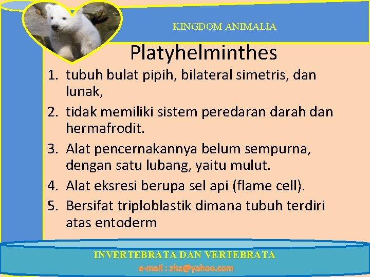 KINGDOM ANIMALIA Platyhelminthes 1. tubuh bulat pipih, bilateral simetris, dan lunak, 2. tidak memiliki
