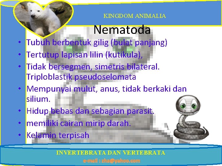 KINGDOM ANIMALIA Nematoda • Tubuh berbentuk gilig (bulat panjang) • Tertutup lapisan lilin (kutikula),