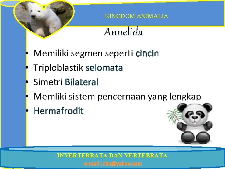 KINGDOM ANIMALIA Annelida • • • Memiliki segmen seperti cincin Triploblastik selomata Simetri Bilateral