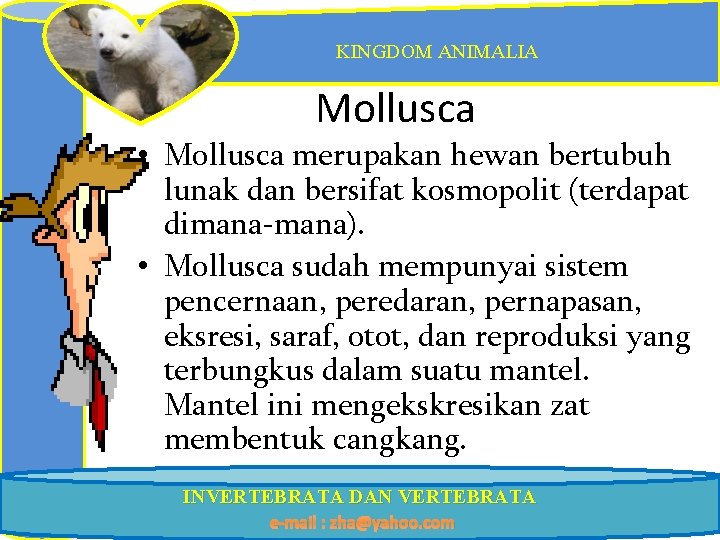 KINGDOM ANIMALIA Mollusca • Mollusca merupakan hewan bertubuh lunak dan bersifat kosmopolit (terdapat dimana-mana).