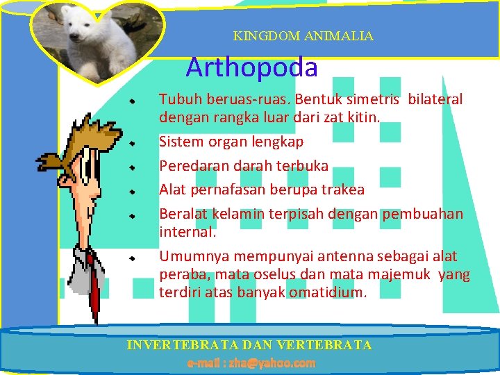 KINGDOM ANIMALIA Arthopoda Tubuh beruas-ruas. Bentuk simetris bilateral dengan rangka luar dari zat kitin.
