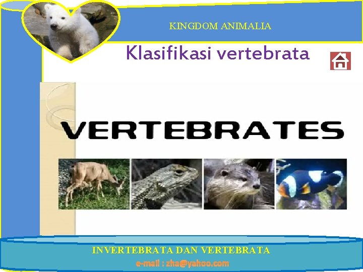 KINGDOM ANIMALIA Klasifikasi vertebrata INVERTEBRATA DAN VERTEBRATA e-mail : zha@yahoo. com 