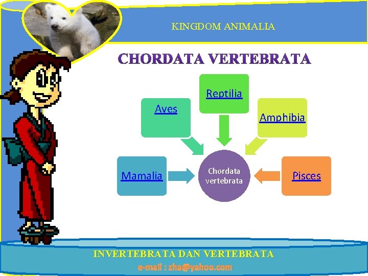 KINGDOM ANIMALIA Reptilia Aves Mamalia Amphibia Chordata vertebrata INVERTEBRATA DAN VERTEBRATA e-mail : zha@yahoo.
