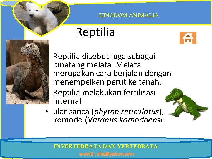 KINGDOM ANIMALIA Reptilia • Reptilia disebut juga sebagai binatang melata. Melata merupakan cara berjalan