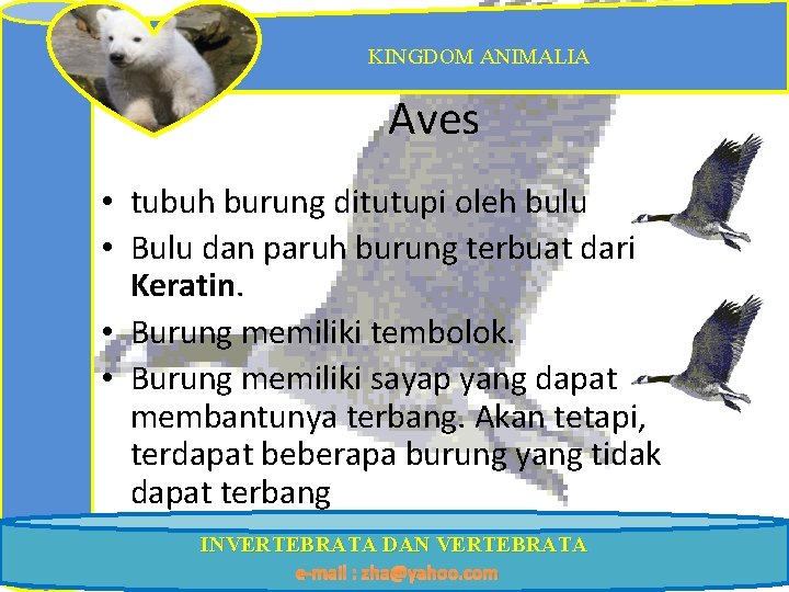 KINGDOM ANIMALIA Aves • tubuh burung ditutupi oleh bulu • Bulu dan paruh burung