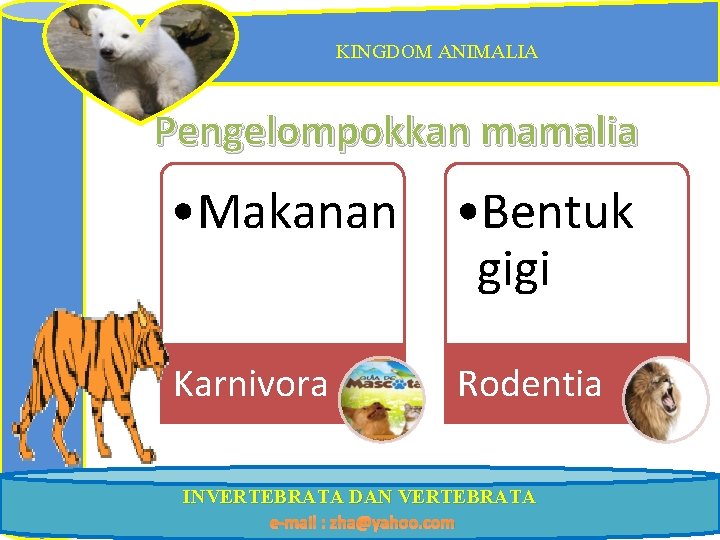 KINGDOM ANIMALIA Pengelompokkan mamalia • Makanan • Bentuk gigi Karnivora Rodentia INVERTEBRATA DAN VERTEBRATA