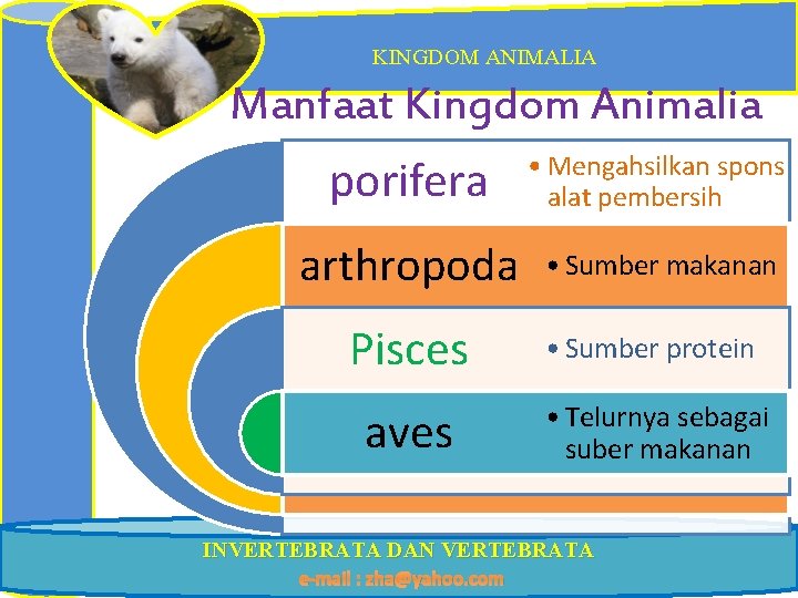 KINGDOM ANIMALIA Manfaat Kingdom Animalia porifera • Mengahsilkan spons alat pembersih arthropoda • Sumber