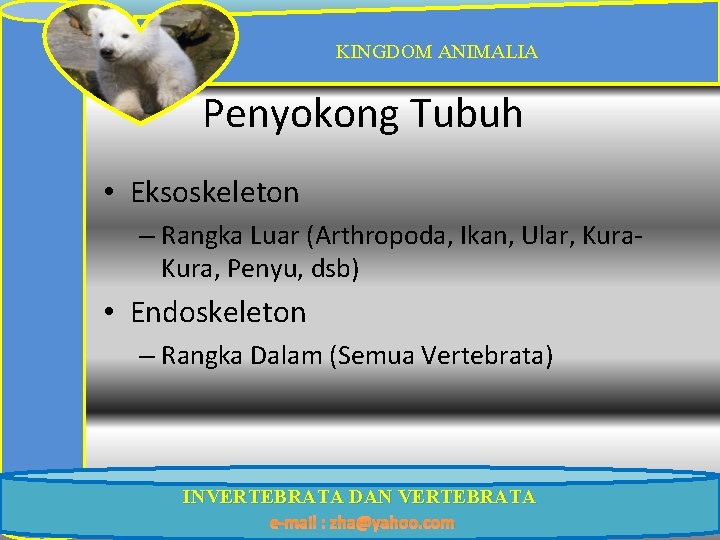 KINGDOM ANIMALIA Penyokong Tubuh • Eksoskeleton – Rangka Luar (Arthropoda, Ikan, Ular, Kura, Penyu,