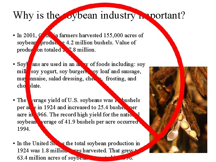 Why is the soybean industry important? • In 2001, Georgia farmers harvested 155, 000