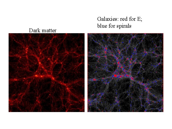 Dark matter Galaxies: red for E; blue for spirals 