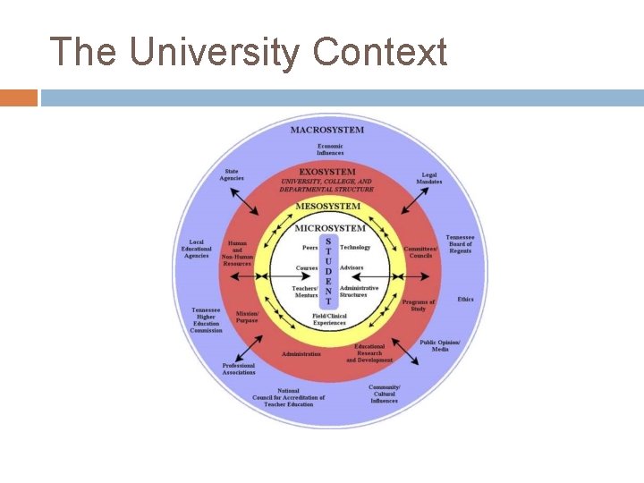 KRISTEN RENNS ECOLOGICAL THEORY OF MIXEDRACE IDENTITY DEVELOPMENT