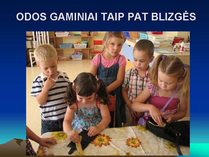 ODOS GAMINIAI TAIP PAT BLIZGĖS 