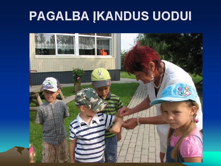 PAGALBA ĮKANDUS UODUI 